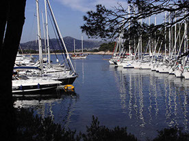 Segelyacht-mit-Skipper-Nature-35