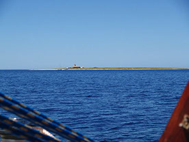 Segelyacht-mit-Skipper-Nature-42