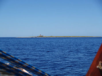 Segelyacht-mit-Skipper-Nature-42